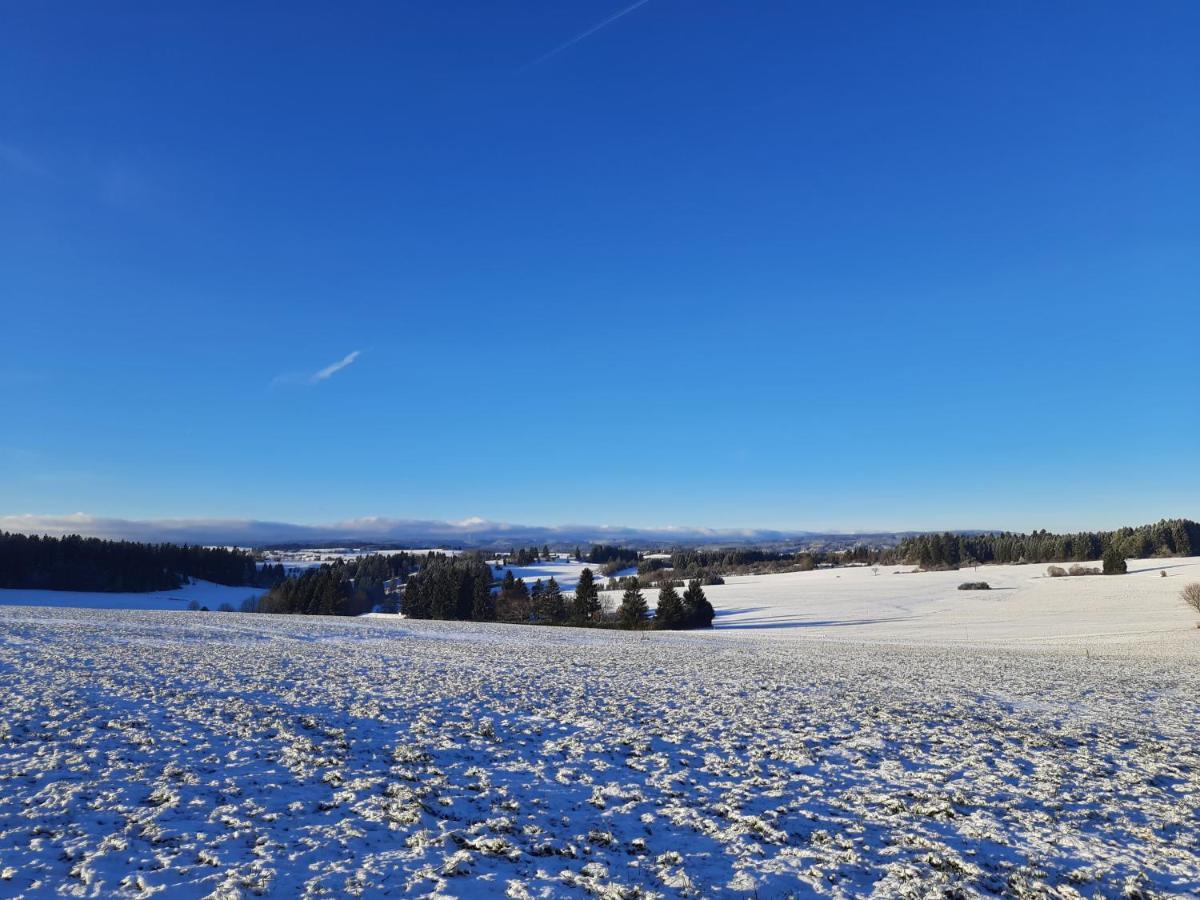 Schwarzwaldblick 1-Zimmer Appartement Löffingen Exterior foto